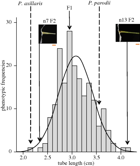 Figure 5.