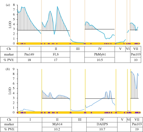 Figure 6.