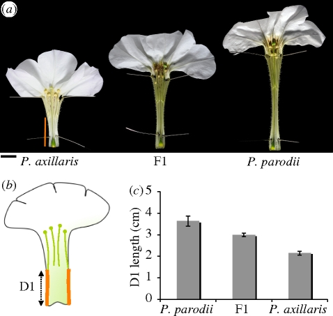 Figure 3.