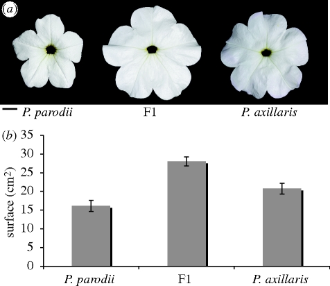 Figure 2.