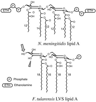 FIG. 7.