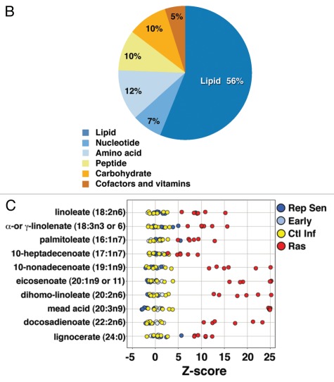 Figure 2A