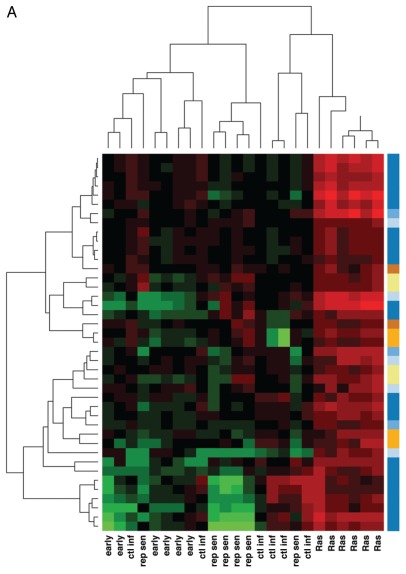 Figure 2A