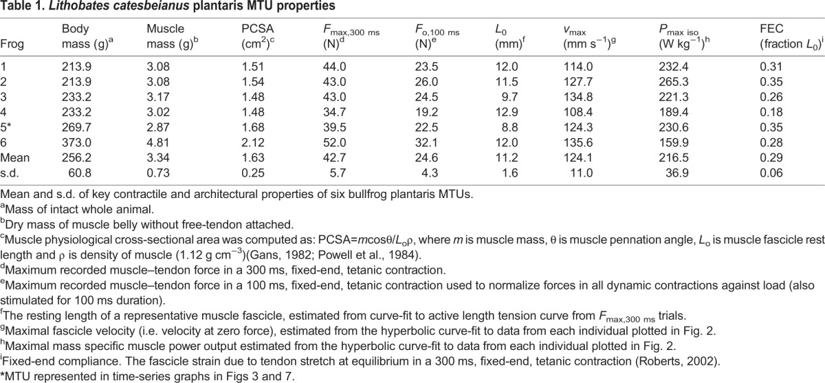 graphic file with name jexbio-218-126235-i1.jpg