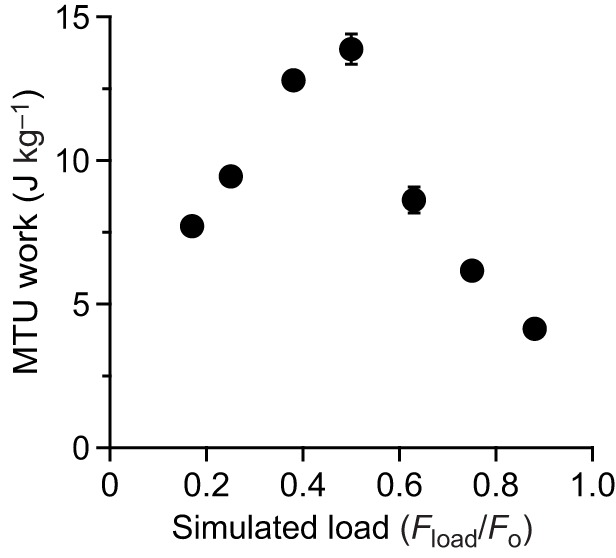 Fig. 5.