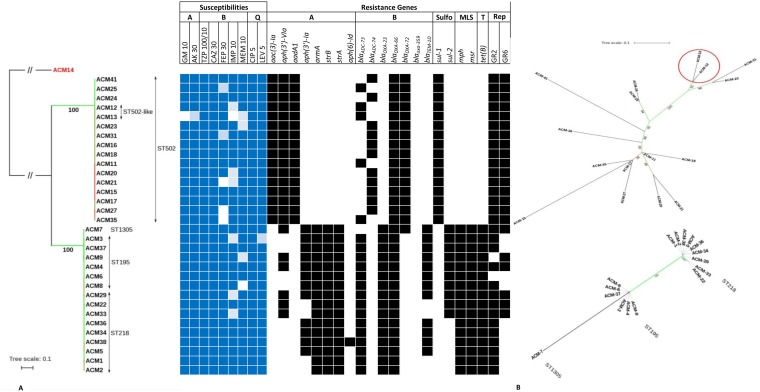 FIG 2