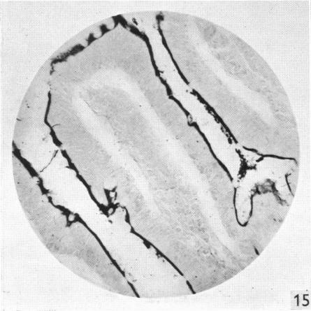 Fig. 15