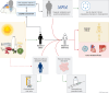 Graphical Abstract