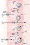Figure 1.