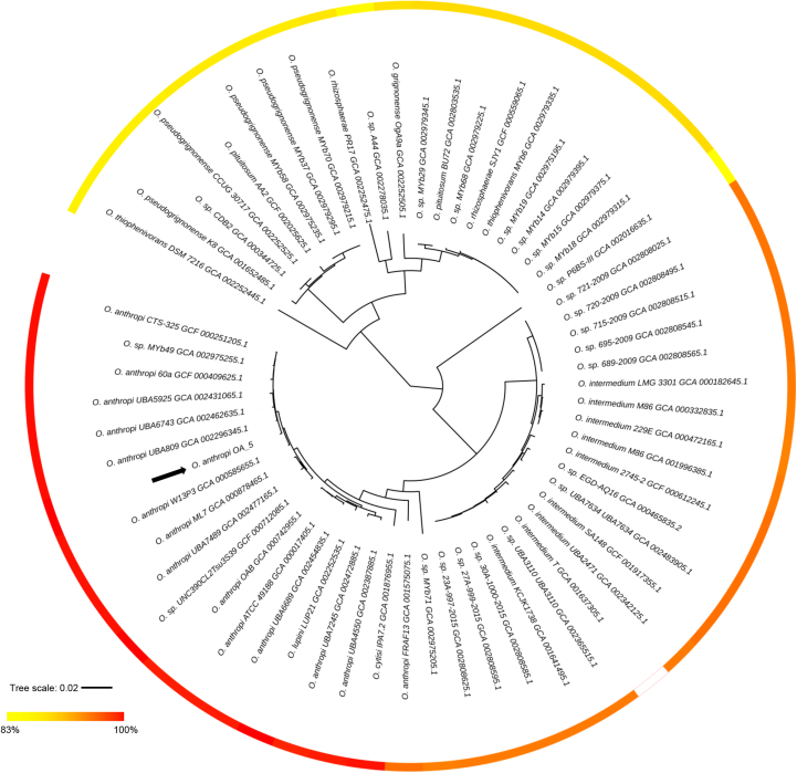 Fig. 3