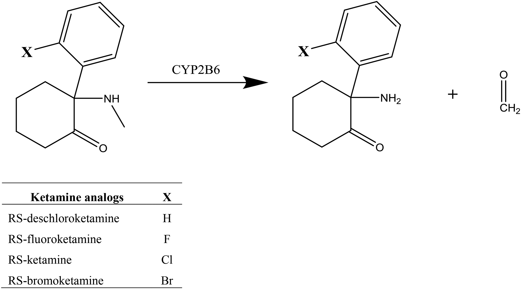 Scheme 2.