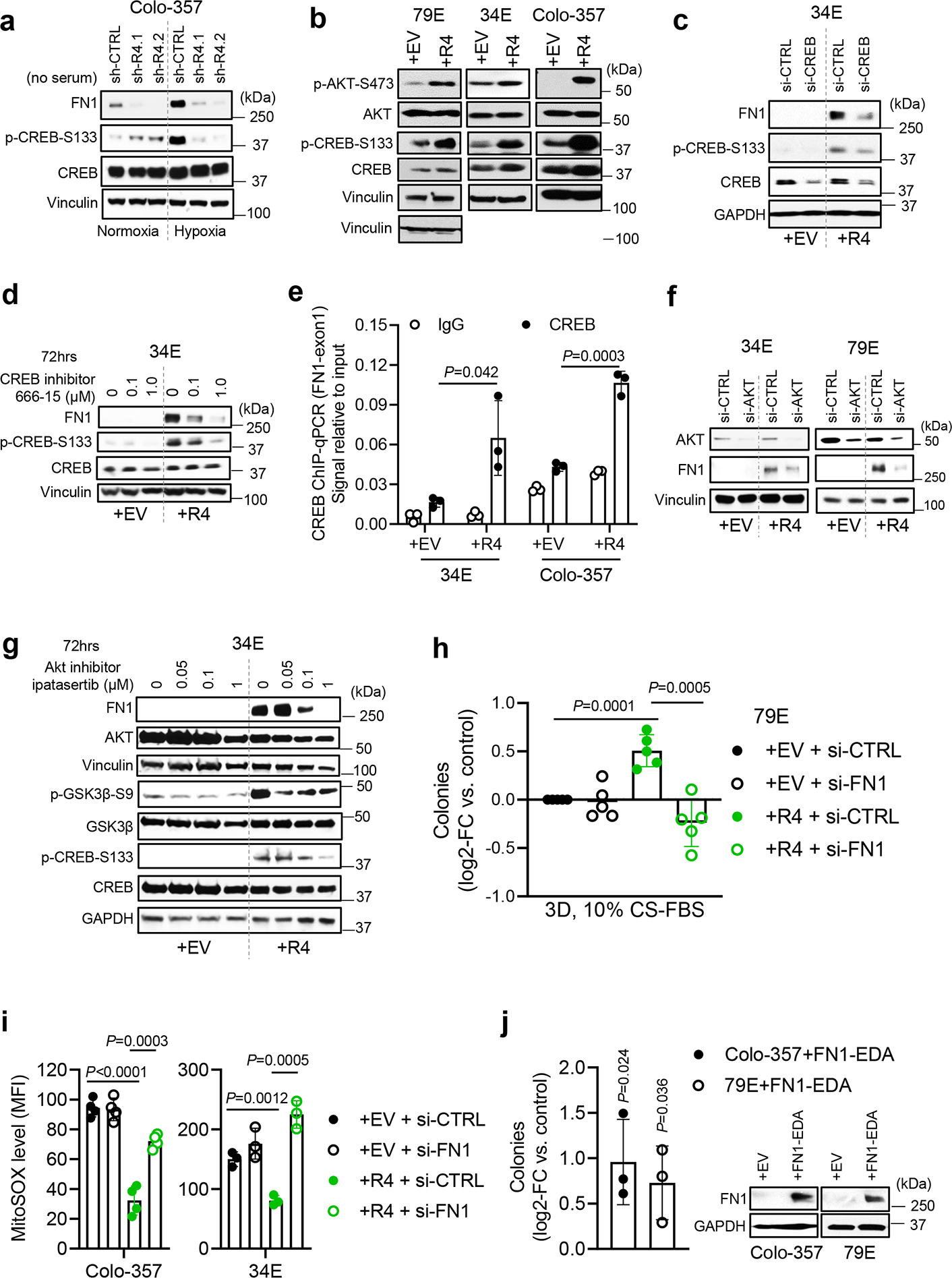 Fig. 6: