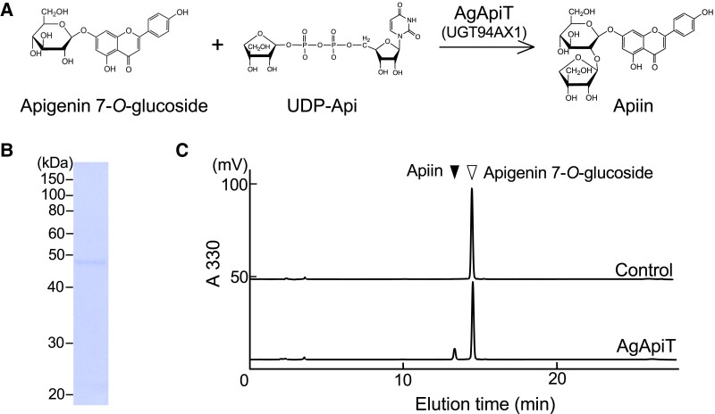 Figure 3.