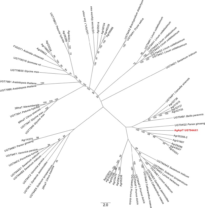 Figure 1.