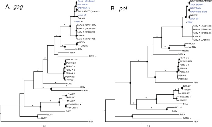 FIG 6