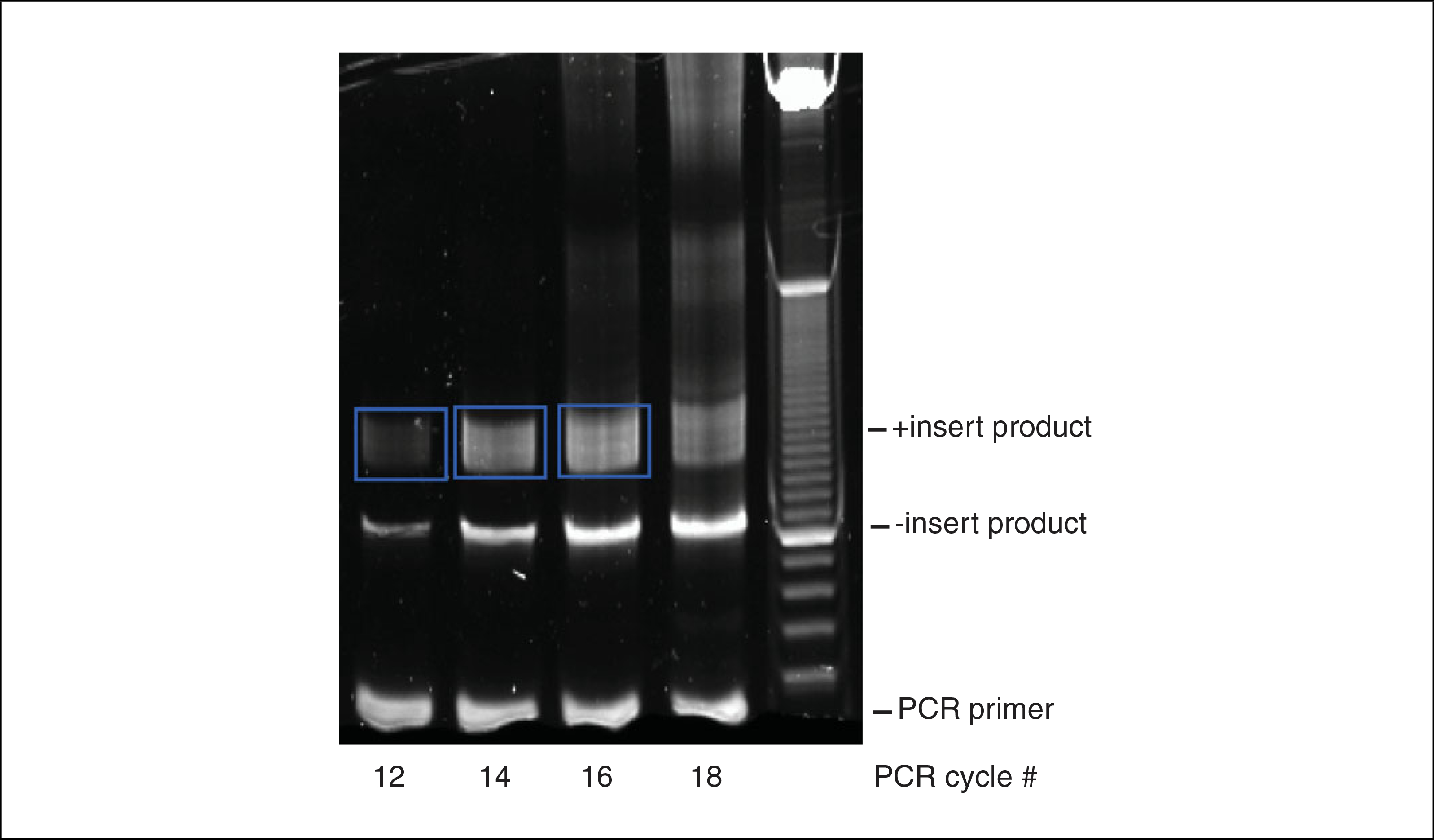 Figure 4.25.4