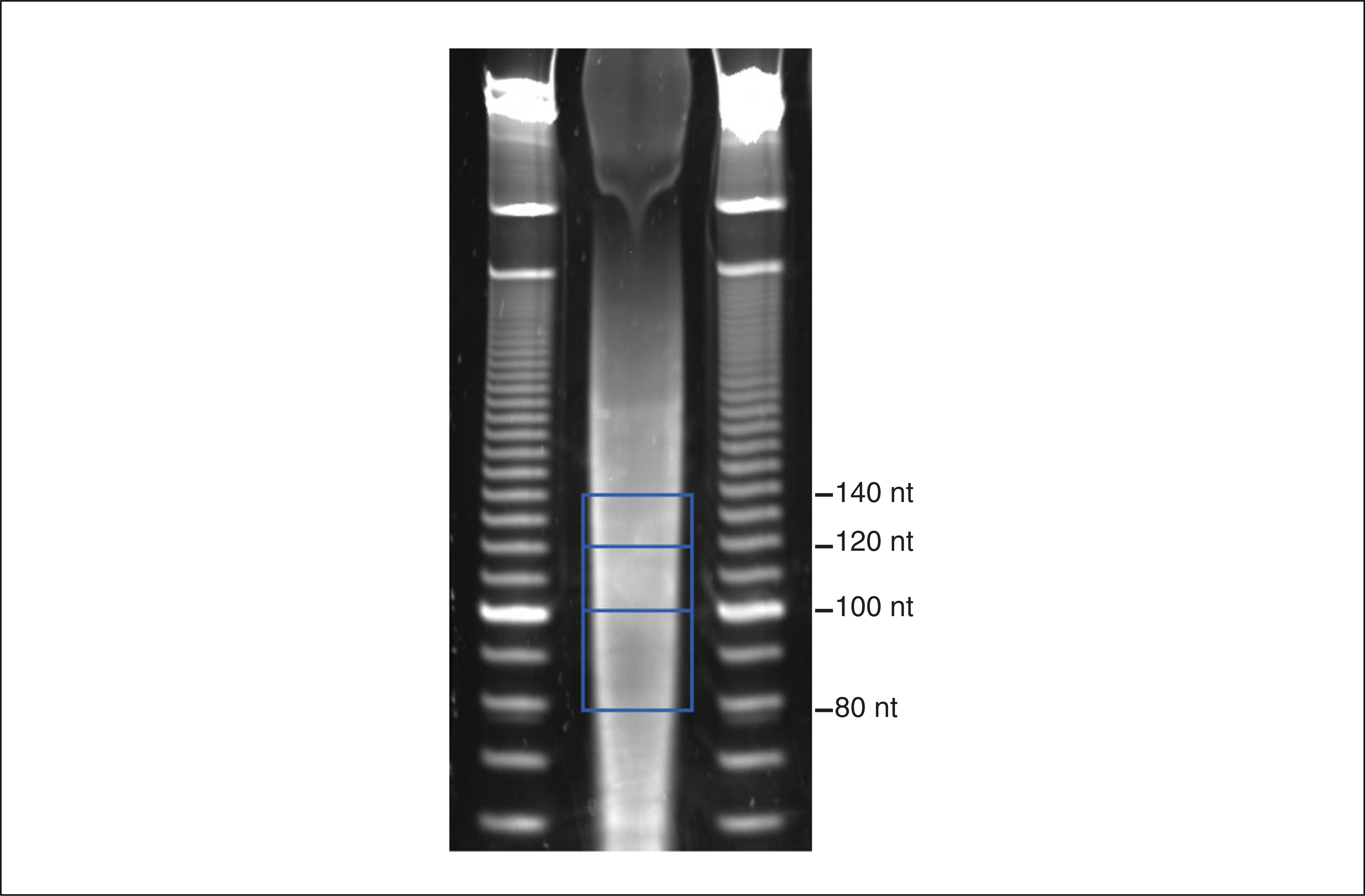 Figure 4.25.2