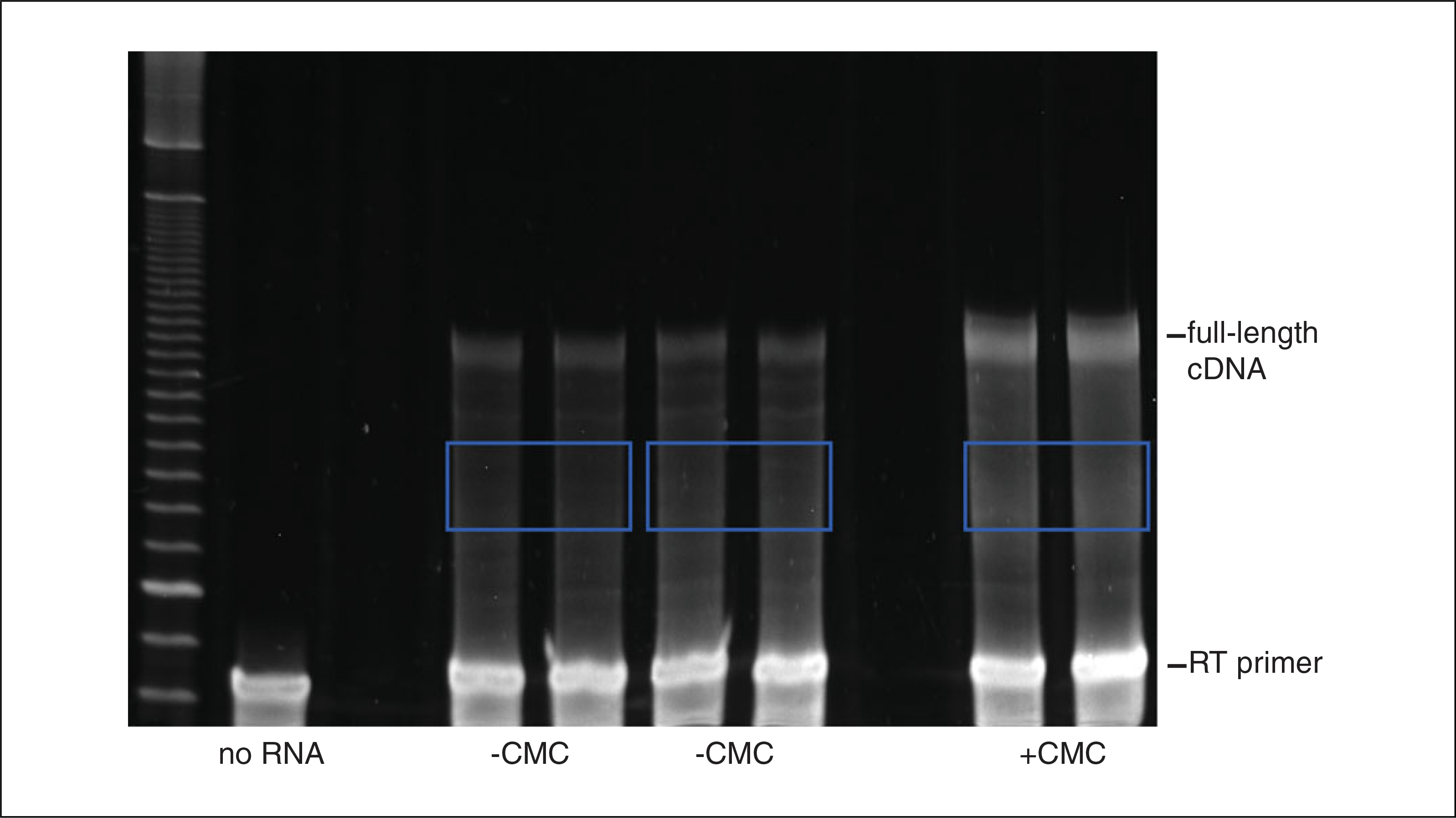 Figure 4.25.3