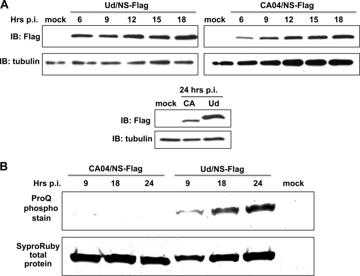 Fig 5