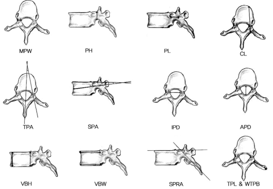 Fig. 1