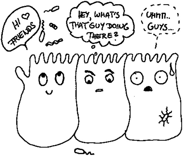 graphic file with name nihms-1733025-f0001.jpg