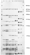 FIG. 1