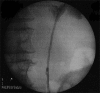 Figure 2c