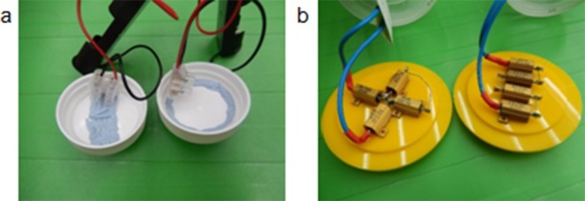 Figure 2—figure supplement 1.