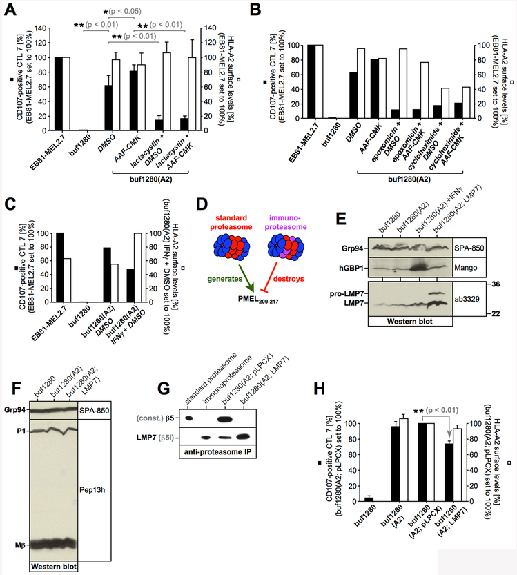 Figure 3,