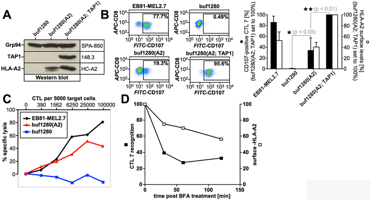 Figure 1,