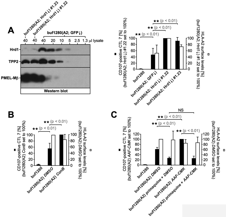 Figure 6,