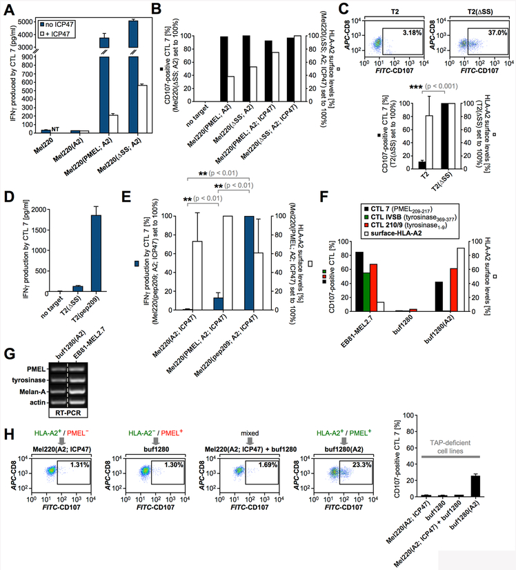 Figure 2,