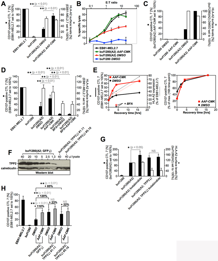 Figure 4,