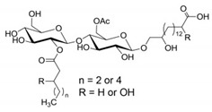 graphic file with name pharmaceutics-13-01024-i005.jpg