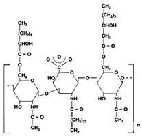 graphic file with name pharmaceutics-13-01024-i006.jpg