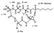 graphic file with name pharmaceutics-13-01024-i012.jpg