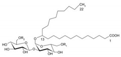 graphic file with name pharmaceutics-13-01024-i002.jpg