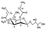 graphic file with name pharmaceutics-13-01024-i003.jpg