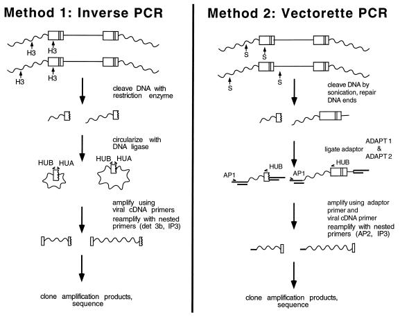 FIG. 1