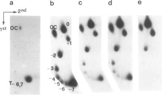 Fig.2.