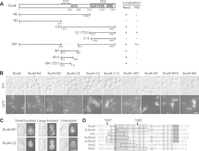 FIG 2