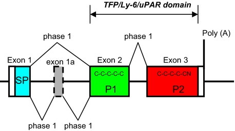 FIGURE 3.