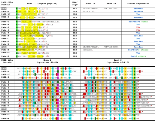 graphic file with name zbc025083910t001.jpg