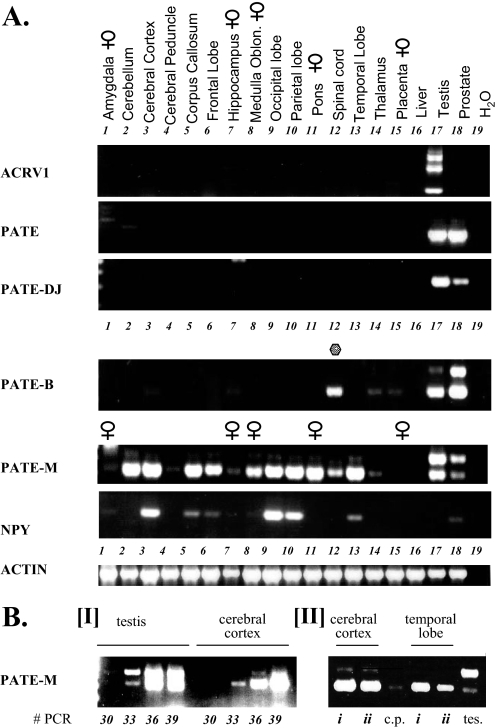 FIGURE 12.