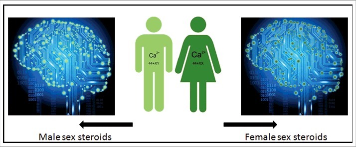 Figure 1.