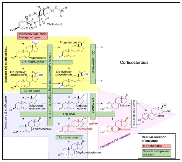 Figure 5.