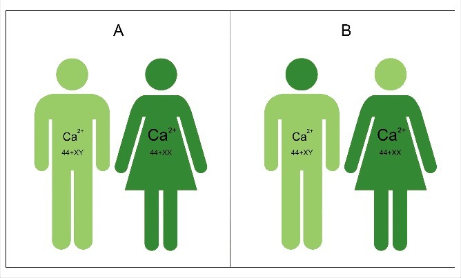 Figure 7.