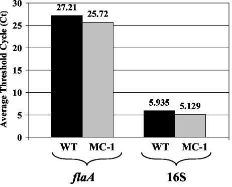 FIG. 5.