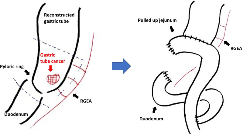 Fig. 5