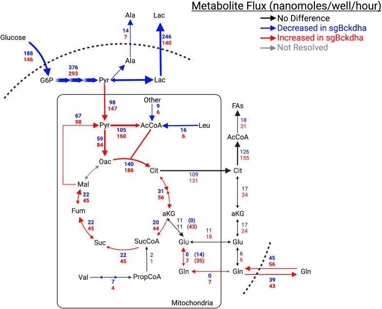 Figure 5